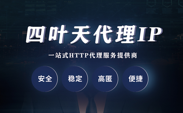 【西双版纳代理IP】代理ip客户端使用教程