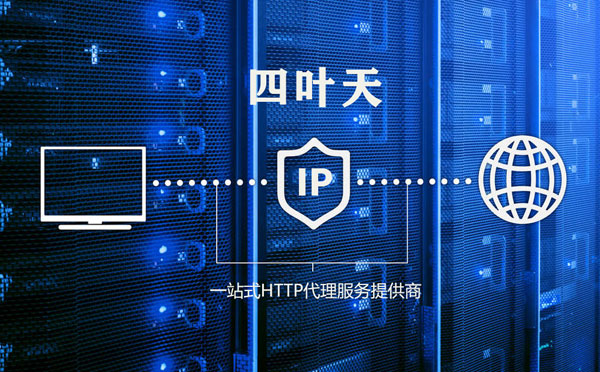 【西双版纳代理IP】代理IP的主要用途和使用注意事项